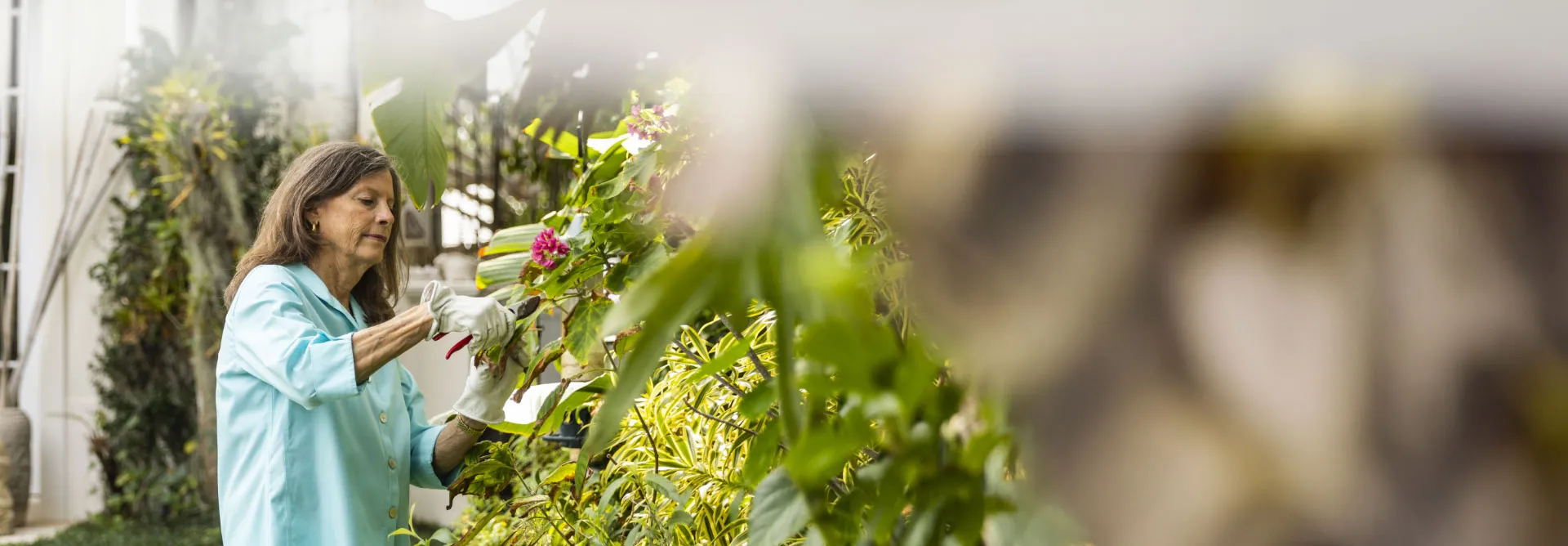 older woman working in the garden