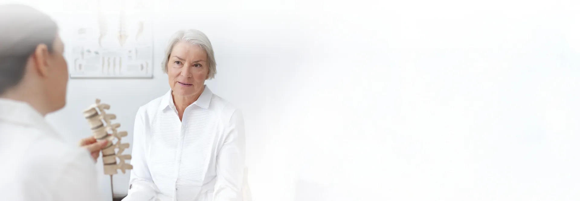 doctor showing spine model